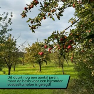 Het was een boomgaard, het wordt een recreatief voedseltuin plan. Het idee groeit nog maar de basis is gelegd. Op de gerdeneer manier natuurlijk, de tekening maken we als het af is! Blijf ons volgen om te zien hoe we dit ‘vliegtuig’ al vliegend in elkaar zetten! Volgende week eerst nog een definitieve snoei ronde!

#craftcider #limburgsecider #ciderie #cideriedegerdeneer #appelcider #cider #applecider #ciderup #cidergoingup #ciders #nederlandsecider #dutchcider #drycider #echtecider 
#realcider #proefkas
 #limburg #streekwinkel
#dutchciderlovers
