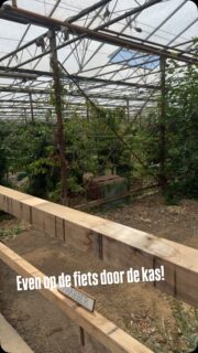 Het is net iets warmer als buiten, maar het voelt echt wel wat heter! Het dooit in de kas!