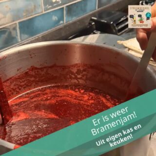 Na het succes van vorig jaar, ook nu weer heerlijke branenjam, van de lekkerste onbespoten bramen uit onze proefkas. Puur fruit met zo weinig mogelijk toegevoegde suiker!
#verszondervragen #bramenjam #bramen #proefkas